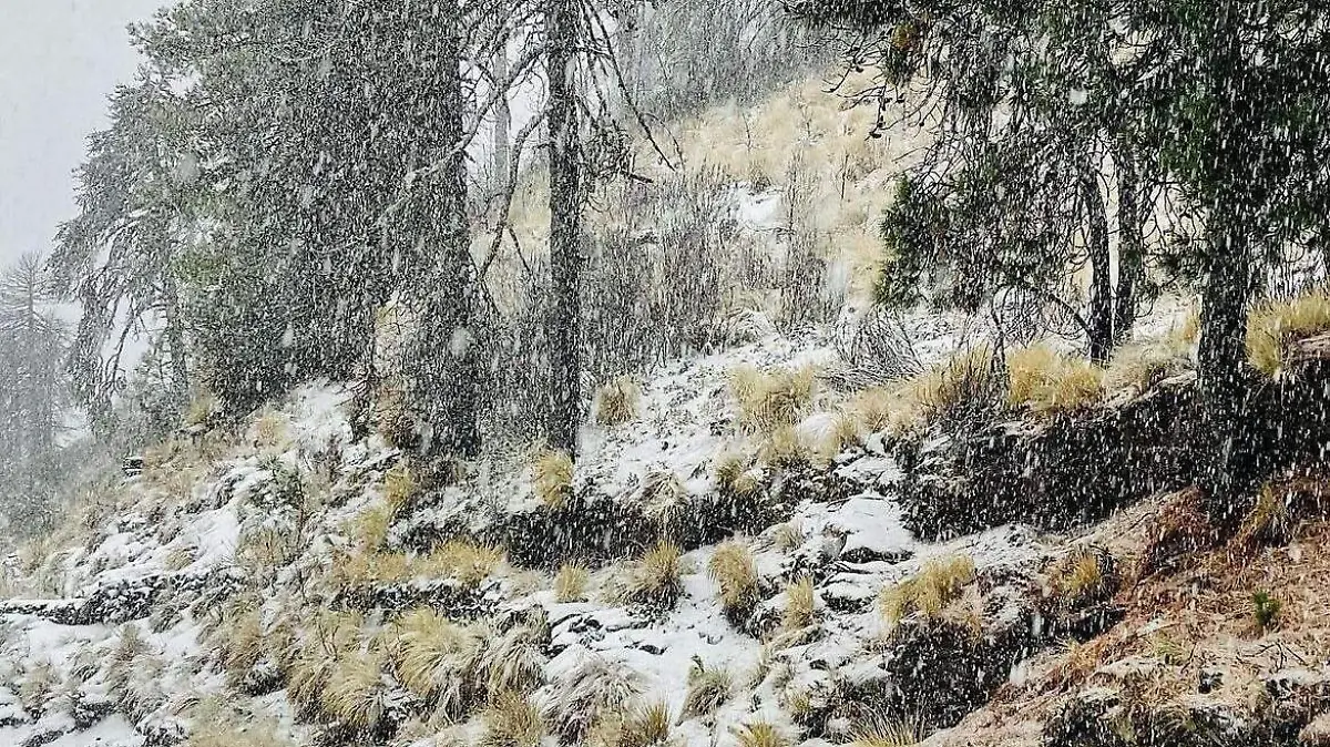 Nevado Colima